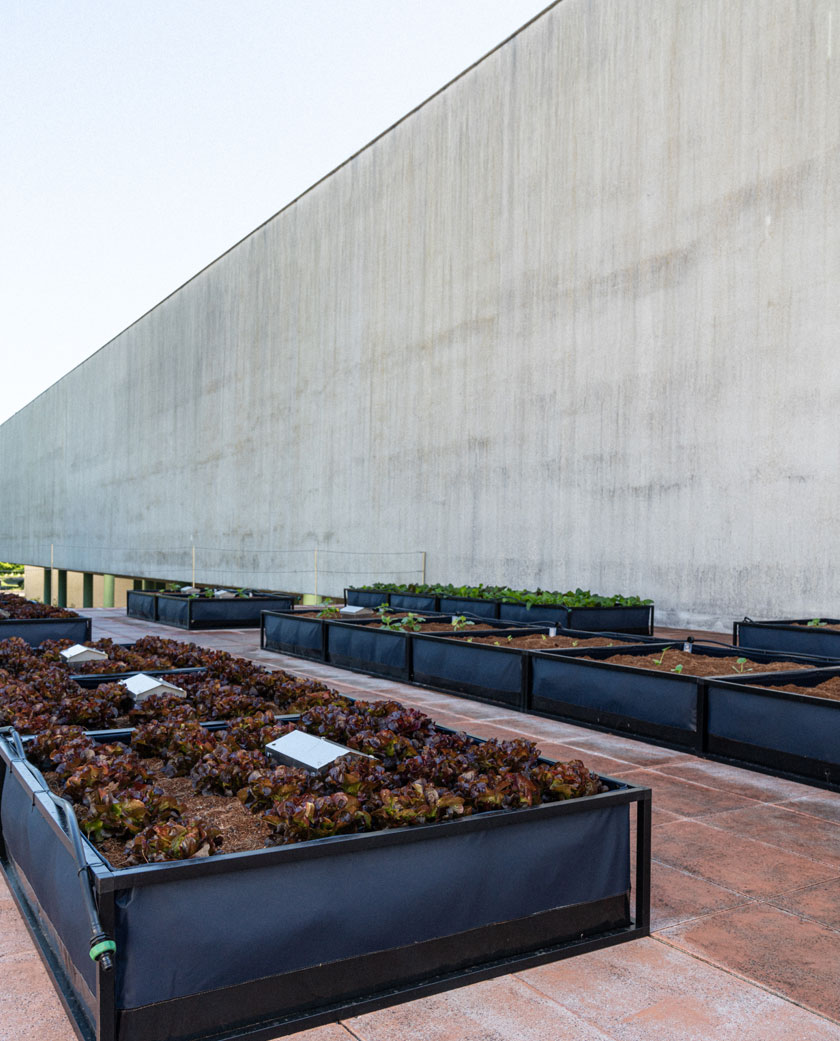 NoocityPortfolio_Horta_PortoBusinessSchool_Matosinhos_galeria_@RaioVerde_01