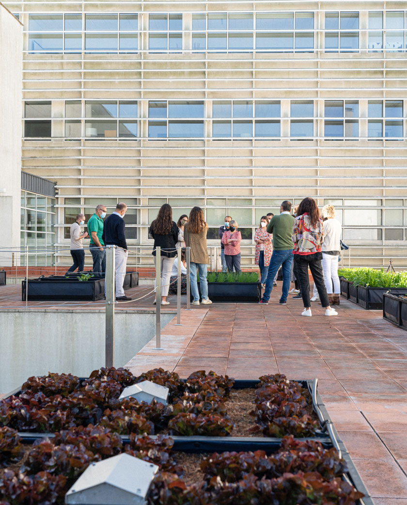NoocityPortfolio_Horta_PortoBusinessSchool_Matosinhos_galeria_@RaioVerde_00