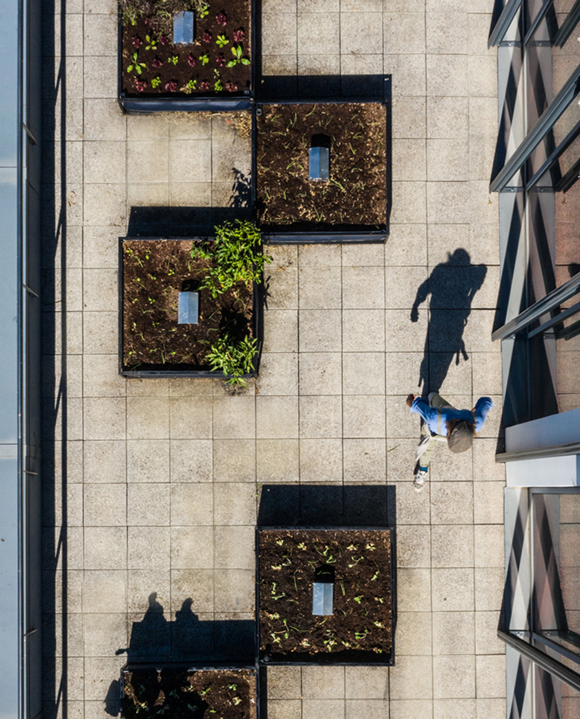 NoocityPortfolio_Horta_Microsoft_Lisboa_galeria_@AfonsoSousa_01