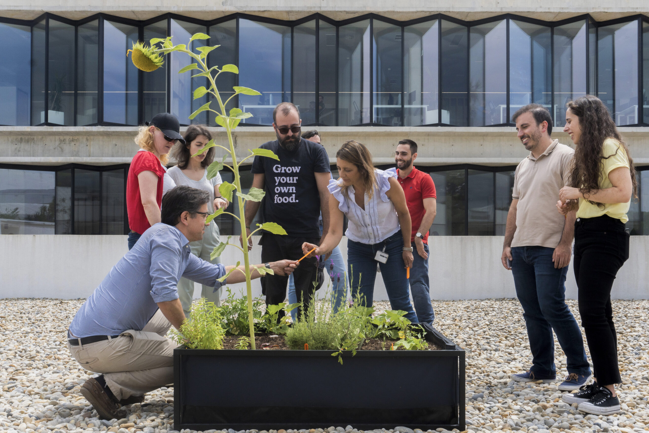 NoocityGarden_Vestas_19