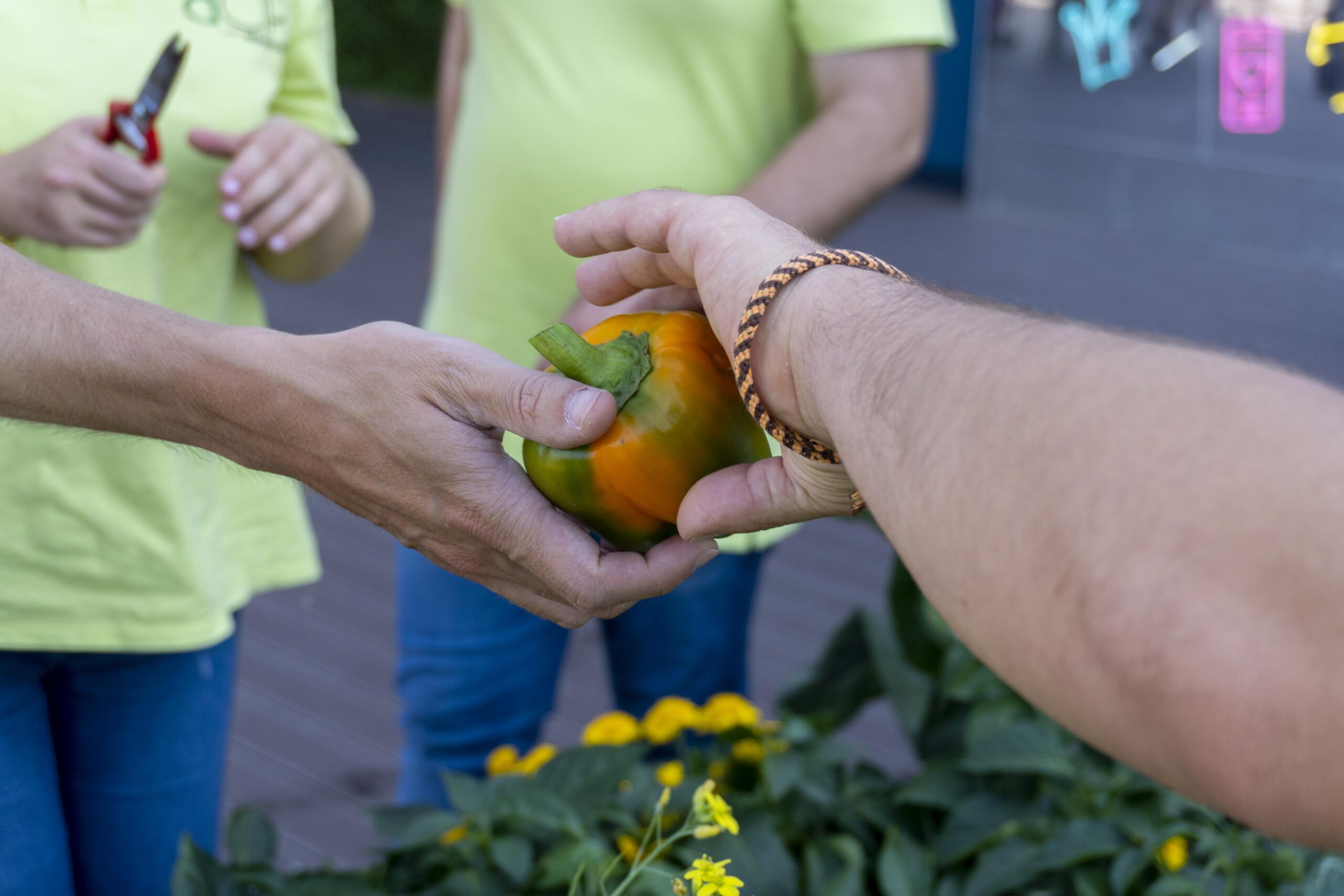 EspaçoGuimarães_Noocity-Ground-Yourself-Corporate-Vegetable-Garden-Urban-Farming-18