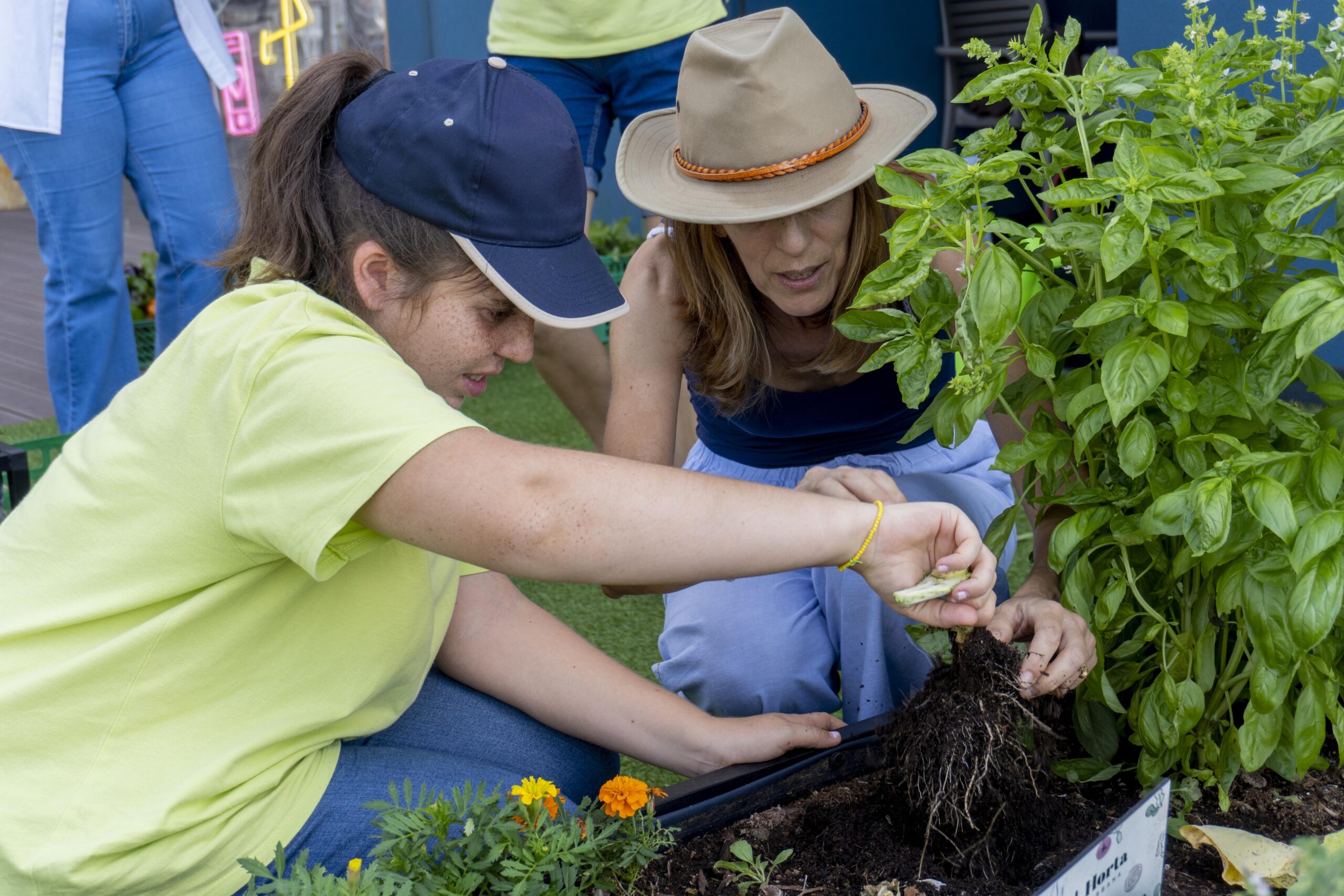 EspaçoGuimarães_Noocity-Ground-Yourself-Corporate-Vegetable-Garden-Urban-Farming-38