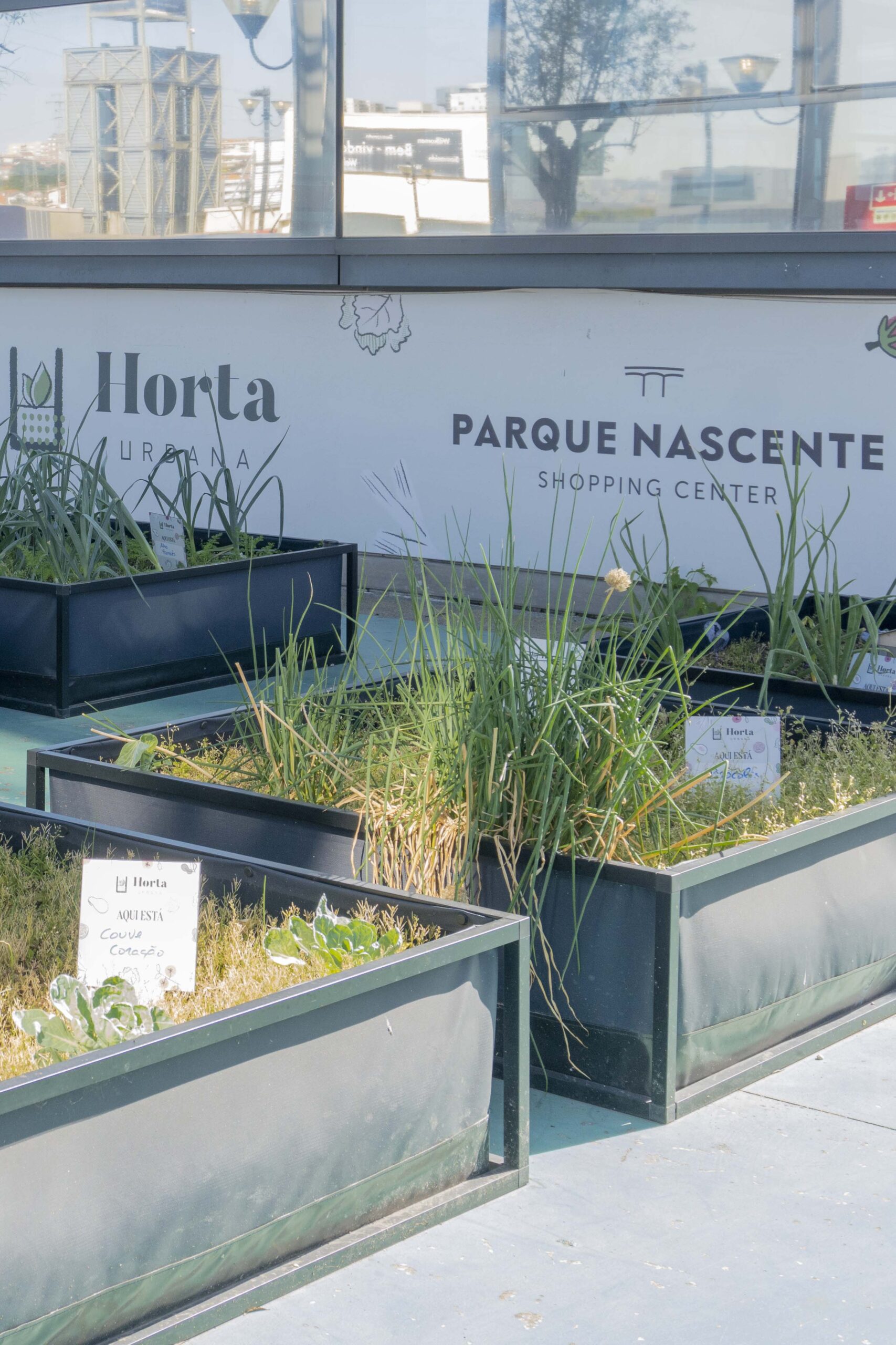 Noocity-Ground-Yourself-Corporate-Vegetable-Garden-Urban-Farming-ParqueNascente-09