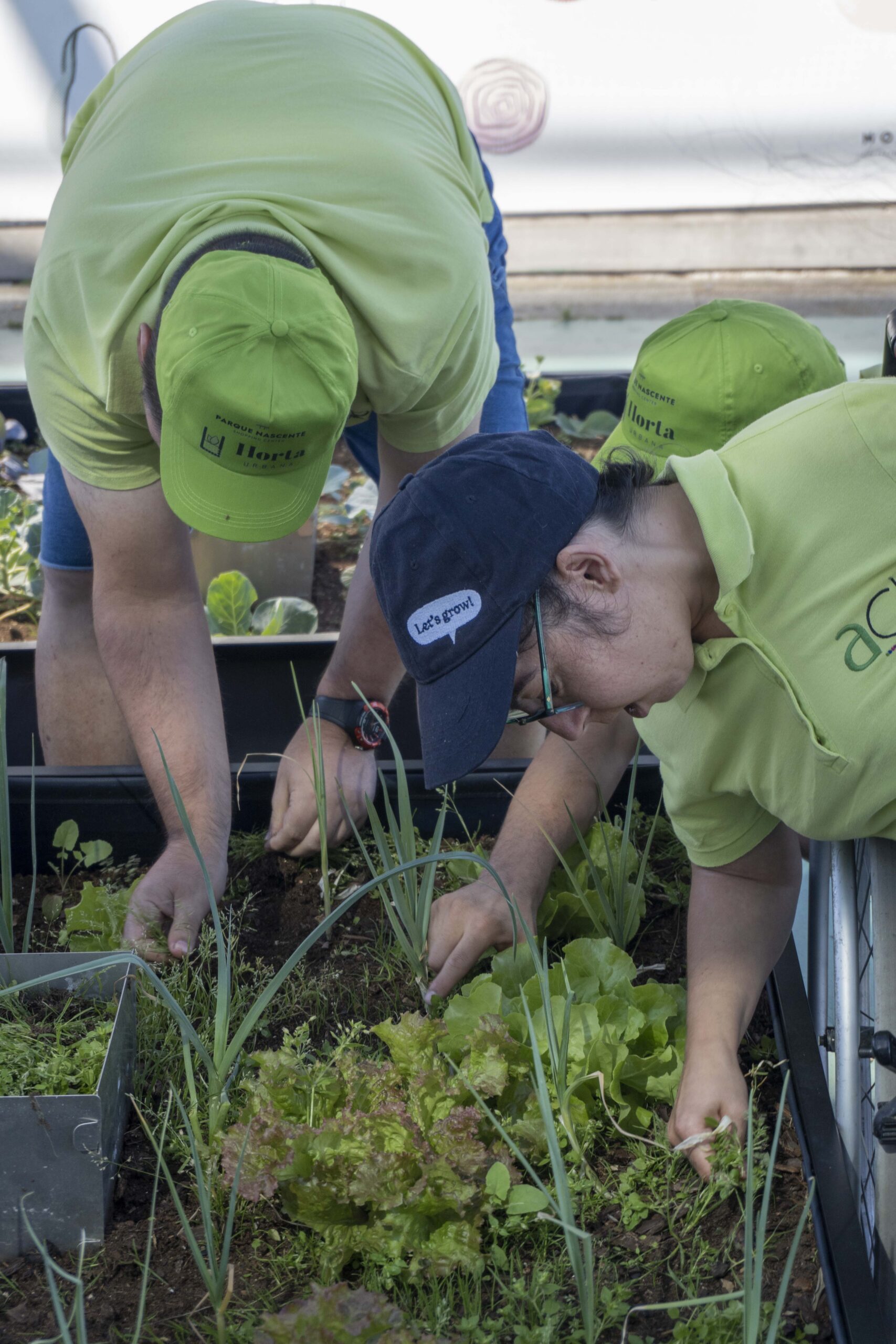 Noocity-Ground-Yourself-Corporate-Vegetable-Garden-Urban-Farming-ParqueNascente-18