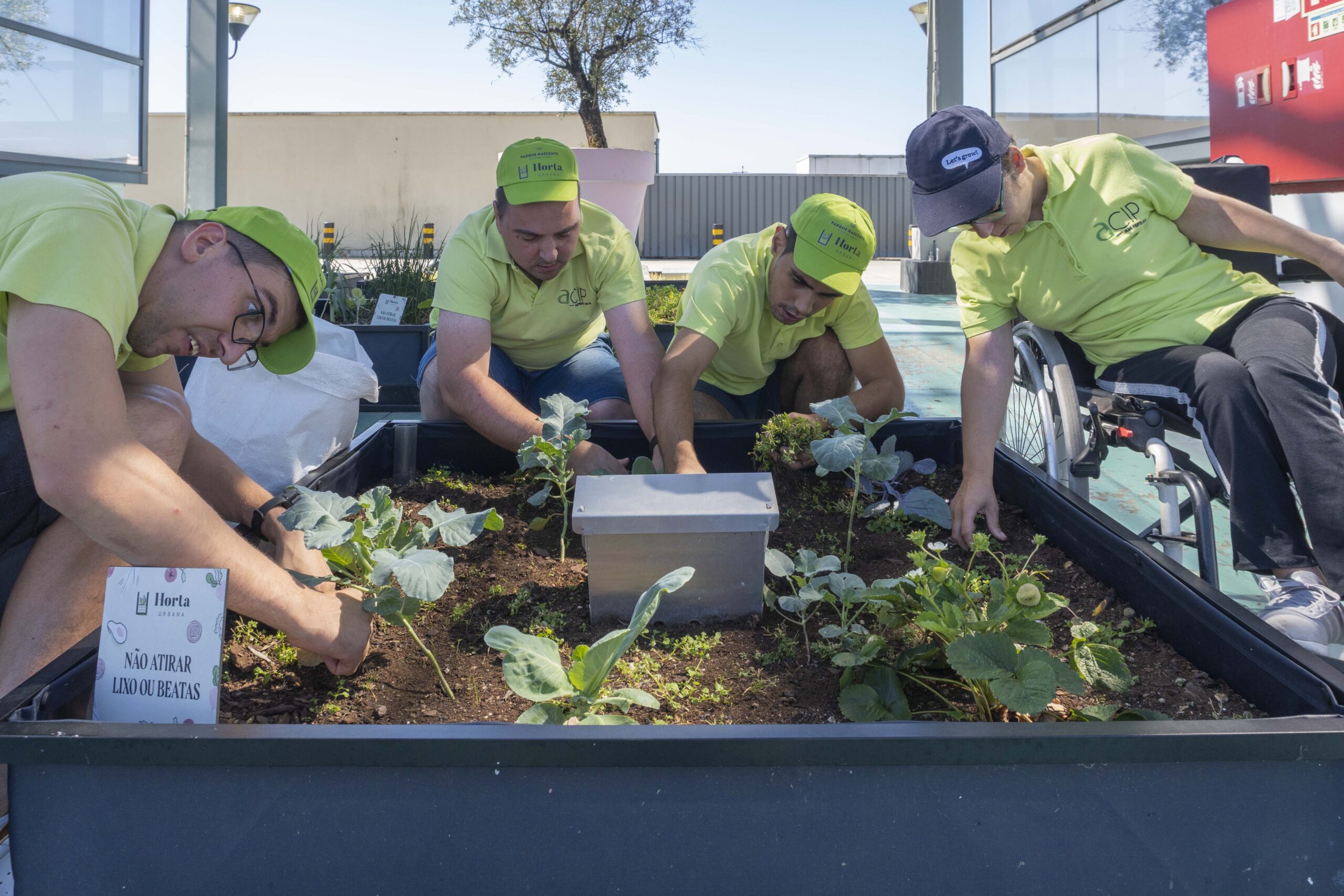 Noocity-Ground-Yourself-Corporate-Vegetable-Garden-Urban-Farming-ParqueNascente-20